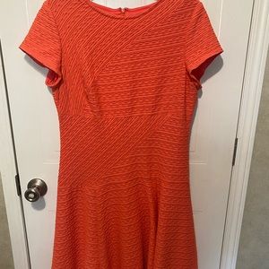 Knee length coral Sandra Darren dress. Size 14
